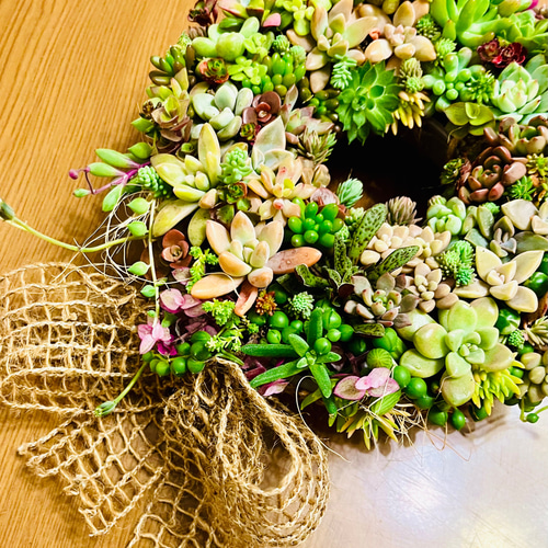 多肉植物リース 多肉植物 寄植え リース 20cm クリスマス クリスマス