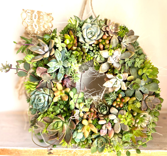 多肉植物☆寄せ植えリース wed0041.jpg