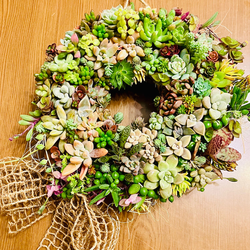 多肉植物リース 多肉植物 寄植え リース 20cm クリスマス クリスマス