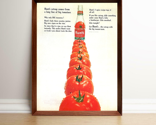 66f2329e4aea3d12496ab8d95eb248