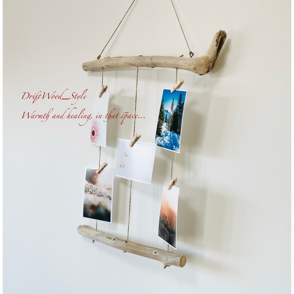 流木インテリア 自由に写真を飾れるシンプルなフォトディスプレイ 流木 写真ハンガー ウォールデコ 壁掛け N4 3枚目の画像