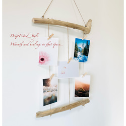 流木インテリア 自由に写真を飾れるシンプルなフォトディスプレイ 流木 写真ハンガー ウォールデコ 壁掛け N4 2枚目の画像