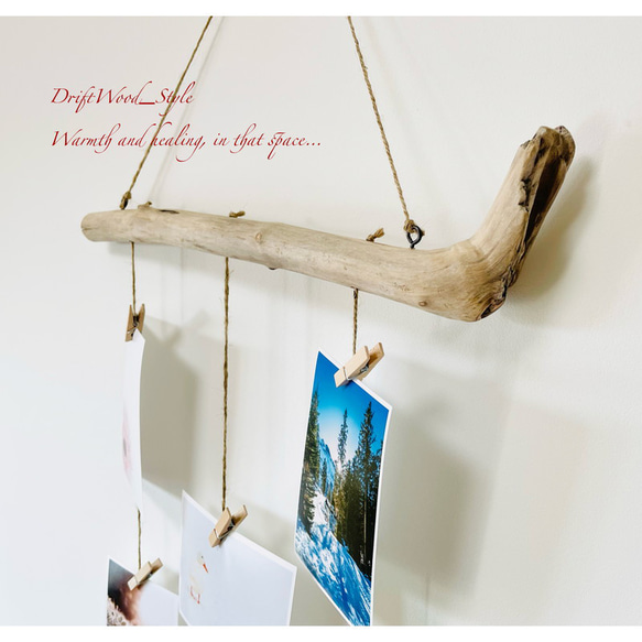 流木インテリア 自由に写真を飾れるシンプルなフォトディスプレイ 流木 写真ハンガー ウォールデコ 壁掛け N4 4枚目の画像