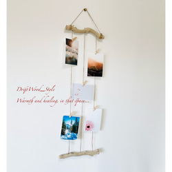 流木インテリア 自由に写真を飾れるフォトディスプレイ 流木を使ったウォールアート フォトフレーム ウォールデコ N17 2枚目の画像