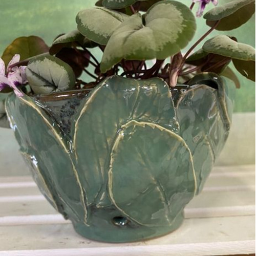 シクラメン コウム☆シルバーリーフ☆白花系☆葉っぱの創作陶器鉢植え