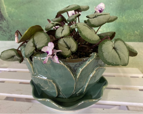 fdd409a44df494f8752fbe7c1a2001