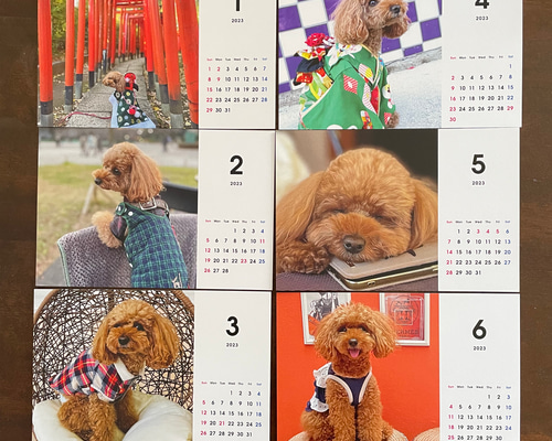 93b22e0effec0cb82517f07f2f0a0f