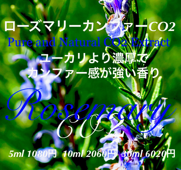 ユーカリ様の強い香り】ローズマリーカンファーCO2エクストラクト5ml  
