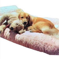 ▼SALE▼ペットベット ソファーベッド 日本製コットン 骨モチーフ 寝具 犬用 猫用 ペット AN26-AN34 12枚目の画像