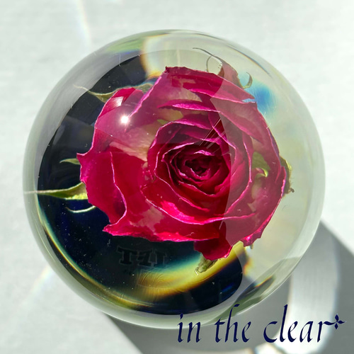 植物標本 薔薇 ピンク レジン ガラスドーム風 中 ハーバリウム・植物