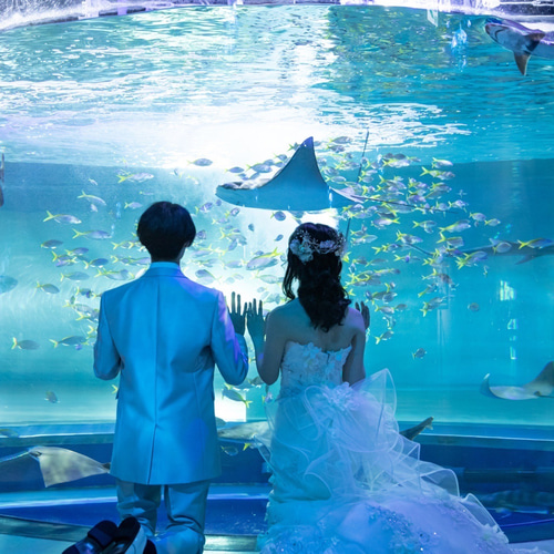 水晶と小枝のヘアコーム クラウン ティアラ ブライダル 結婚式 水晶