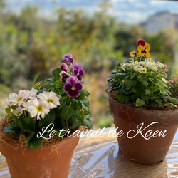 更に値下げ中【天然石・寄せ植え鉢・石鉢・一輪挿し鉢・盆栽鉢・小品盆栽鉢】庭石造園 多肉植物 寄せ植え○陶器鉢 長方形鉢 多肉植物 そのまま飾れて増やせる