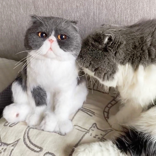 オーダーメイド ペット】ぬいぐるみ オーダー 猫 亡くなった