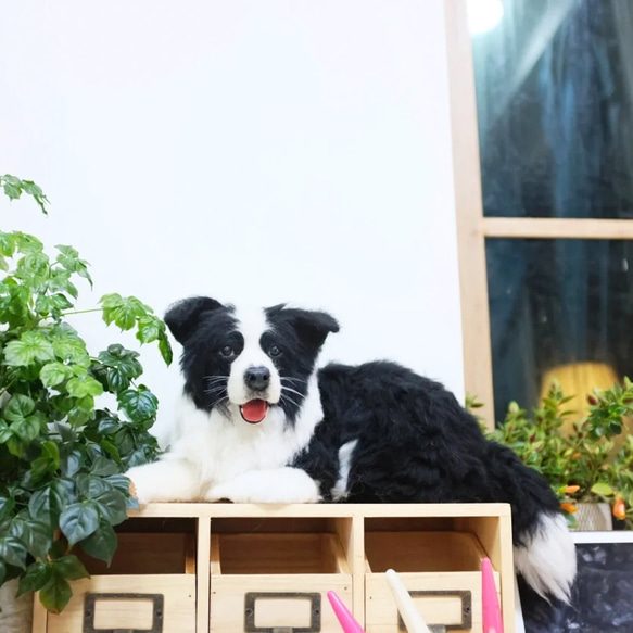 【オーダーメイドペット】羊毛フェルト、うちの子　犬ぬいぐるみ、フェルト犬、羊毛犬、肖像画、犬猫人形 プレゼントやギフトに 100% 模様