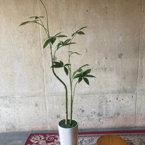 光触媒 人工観葉植物 ウォールグリーン フェイクグリーン パキラ