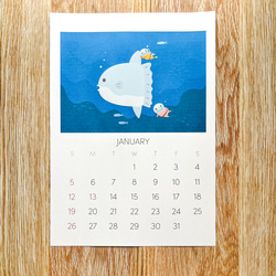 【2025年4月はじまり】 海のいきものの壁掛けカレンダー【A4サイズ】 4枚目の画像