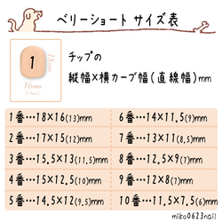  第8張的照片