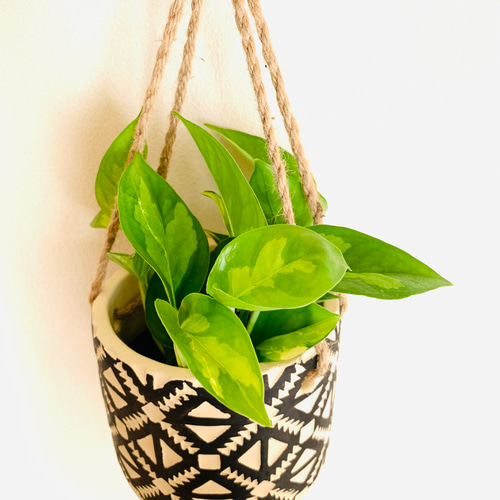 ポトス グローバルグリーン 4号 ハンキング鉢 陶器鉢 エスニック