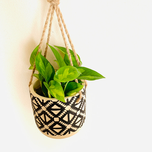 ポトス グローバルグリーン 4号 ハンキング鉢 陶器鉢 エスニック