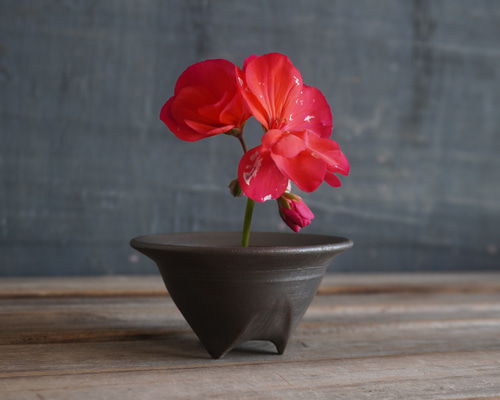 c10d008781ba9b3294f00a9fa2feba