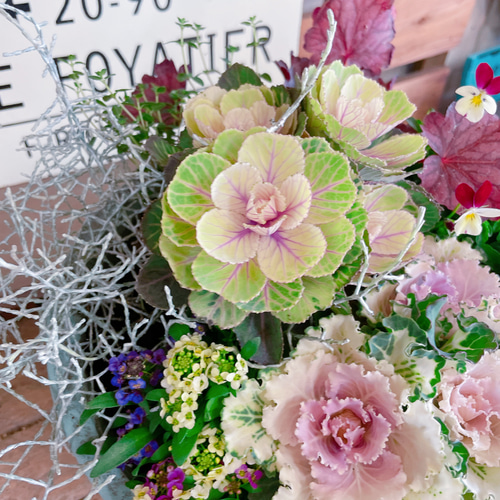 現品ラスト！陶器鉢♡【たっぷり8種類ガーデニング】オシャレな