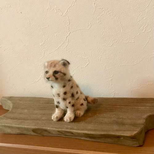 チーターの赤ちゃん 羊毛フェルト よっちみかん 通販 15137262