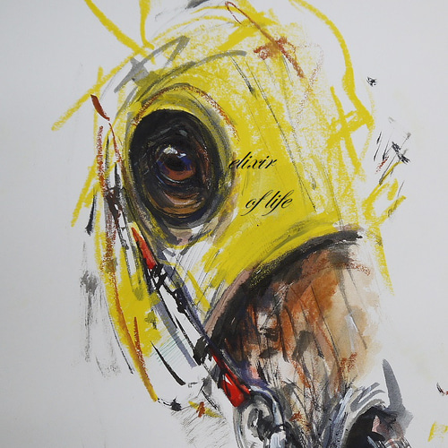 A Rase Horse 141222（水彩画用紙、34，5cm×24，7cm