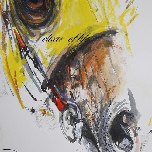 A Rase Horse 141222（水彩画用紙、34，5cm×24，7cm