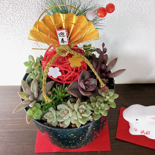 お正月飾り 店舗 玄関 お年賀 プレゼント 寄せ植え 多肉植物 虎