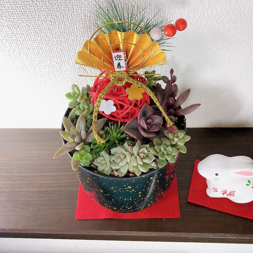 ・:*速達付き多肉植物そのまま飾れる・:*お正月.縁起物.お年賀 速達付き多肉植物そのまま飾れる・:*お正月.縁起物.お年賀
