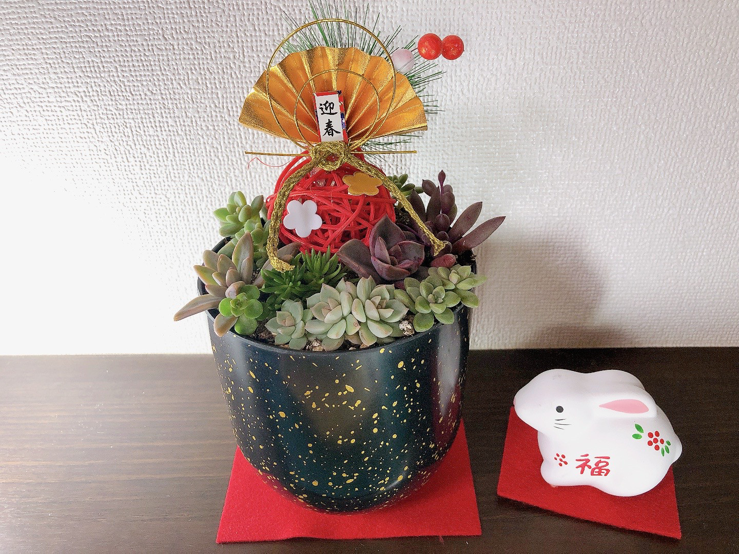 ・:*速達付き多肉植物そのまま飾れる・:*お正月.縁起物.お年賀 ・:*速達付き多肉植物そのまま飾れる・:*お正月.縁起物.お年賀