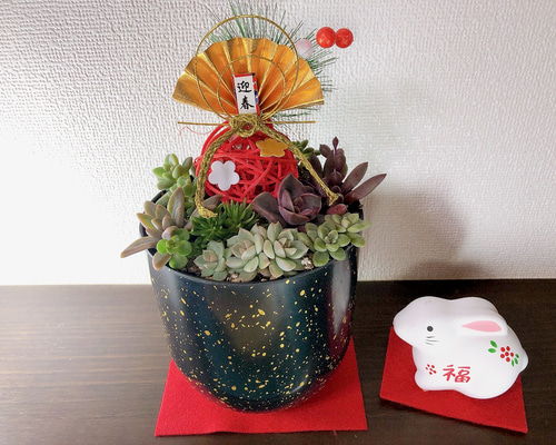 ・:*速達付き多肉植物そのまま飾れる・:*お正月.縁起物.お年賀 Amazon｜2023 迎春 正月飾り 多肉植物 正月寄せ植え 招福・翠