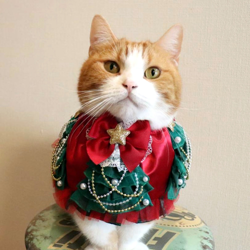 猫服ケープ クリスマスツリー ペット服・アクセサリー ねこの 猫服ケープ クリスマスツリー ペット服・アクセサリー ねこの
