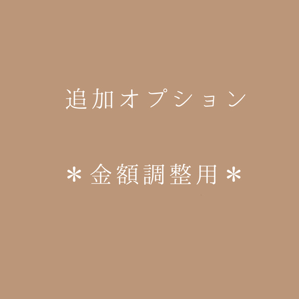 追加購入オプション　金額調整用 1枚目の画像