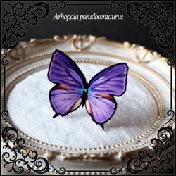 春におススメ 耳飾り 紫 3種の蝶を添えて 〈 イヤリング , ピアス 〉 5枚目の画像