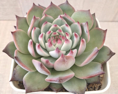 50d44e37b58a58370c306eec873a68