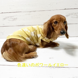 【NEW】 タンクトップ  バニー柄  【フレーズピンク】 Dog 犬服 ドッグウェア 秋～春 うさぎ 干支 ウサギ　 8枚目の画像