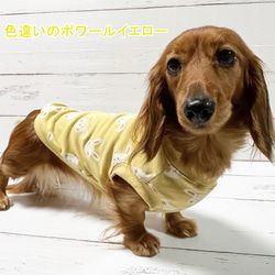 【NEW】 タンクトップ  バニー柄  【フレーズピンク】 Dog 犬服 ドッグウェア 秋～春 うさぎ 干支 ウサギ　 9枚目の画像