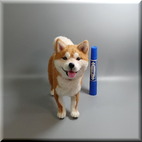 モンブラン 羊毛フェルト 犬 白柴ちゃん 羊毛フェルト 犬 白柴犬の子犬 柴犬 しばいぬ 犬フィギュア 羊毛
