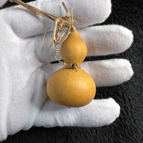 ひょうたん ヒョウタン、【八宝】瓢箪、文遊びひょうたんJST301646/2.9g