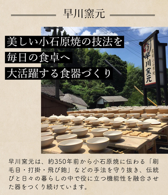 小石原焼 小石原焼き 平皿 17cm 刷毛目 早川窯元 陶器 食器 器 NHK イッピンで紹介 8枚目の画像