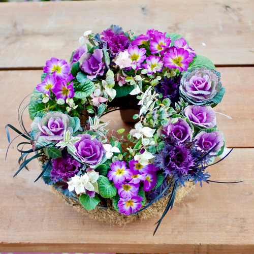 sale お正月を華やかに 寄せ植え ミニ葉牡丹 直径30cm 大人華やかな