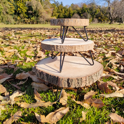 花台・小　丸太桐材　インテリア雑貨　観葉植物　テーブル　小物置き　机　 8枚目の画像