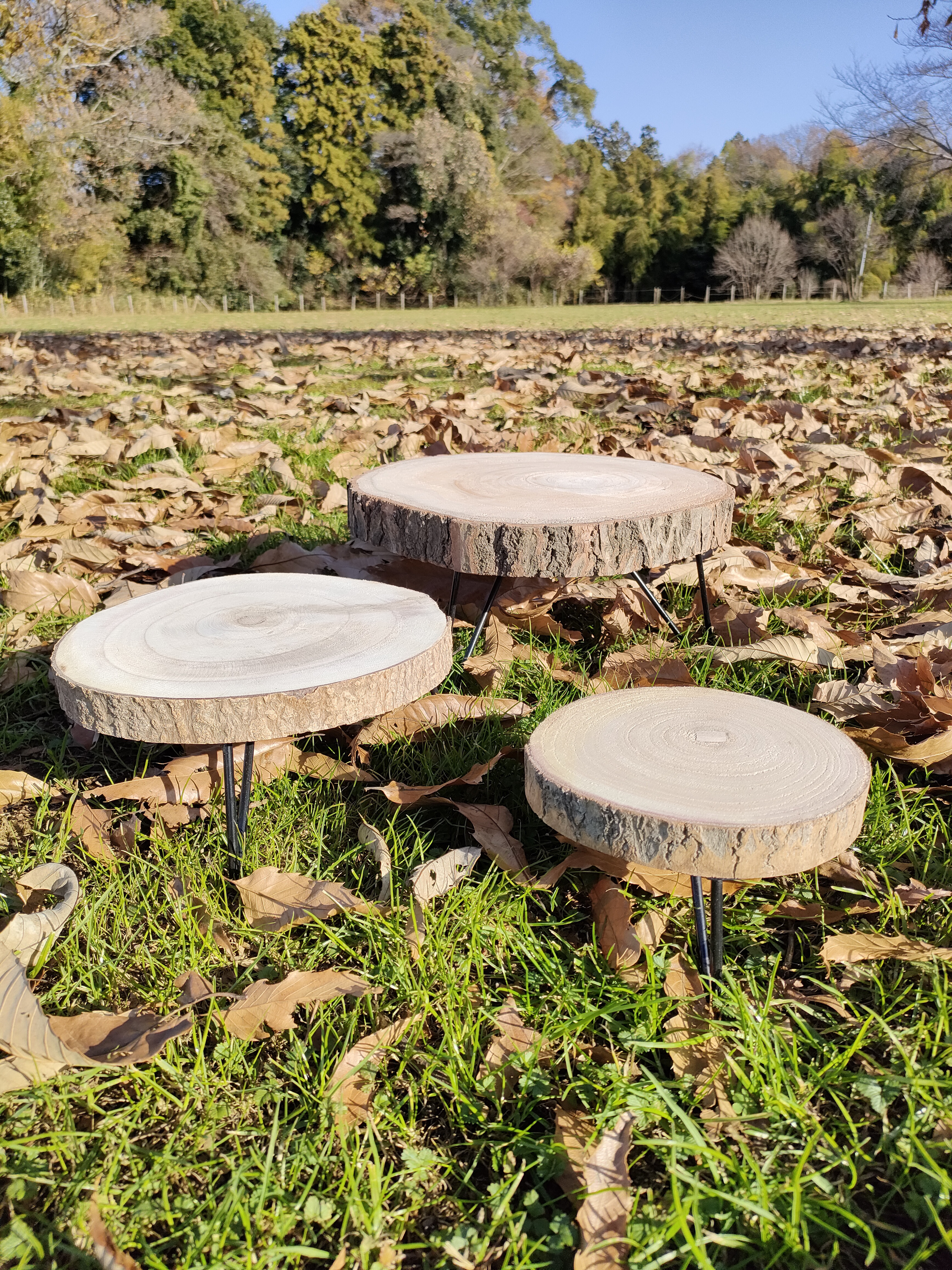 花台・大　丸太桐材　インテリア雑貨　観葉植物　テーブル　小物置き　机