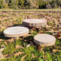 花台・大　丸太桐材　インテリア雑貨　観葉植物　テーブル　小物置き　机　 8枚目の画像