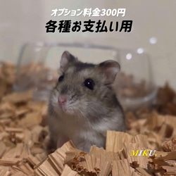 ハウス・小屋 【すもあに】ひこ 通販 15145080｜Creema(クリーマ)