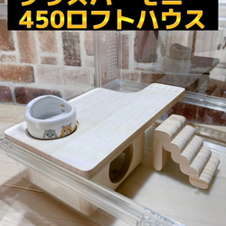 すにきちオーダーページ グラスハーモニー600専用ロフトハウス 階段付属 ハムスター グラスハーモニー600専用ロフトハウス 階段付属
