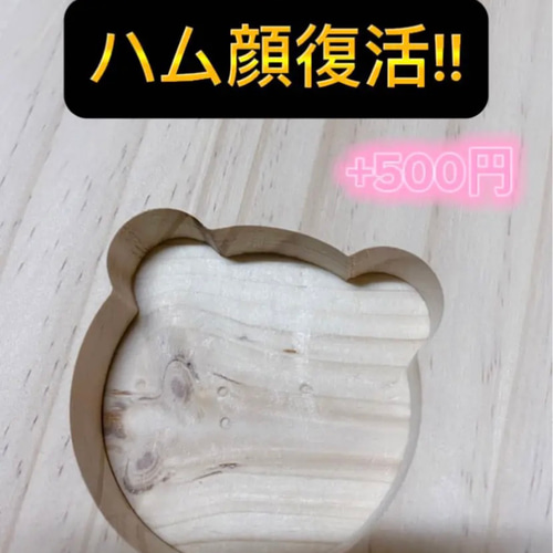グラスハーモニー600ロフトハウス 階段付 ハウス・小屋 すもあに グラスハーモニー600ロフトハウス 階段付 ハウス・小屋 すもあに