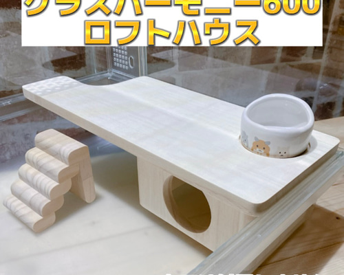 ゆきだるま様専用オーダーページ グラスハーモニー600カミカミ