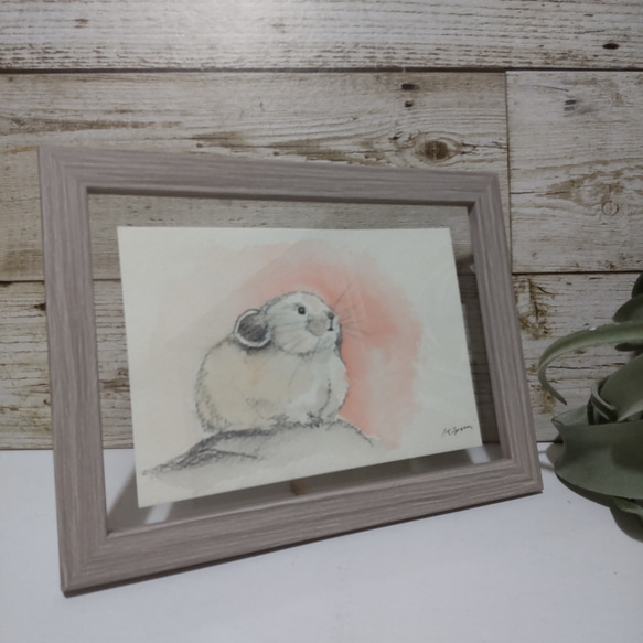 ナキウサギ（水彩画） 1枚目の画像